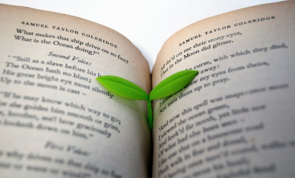 7 Creative Bookmarks for Book lover in you!