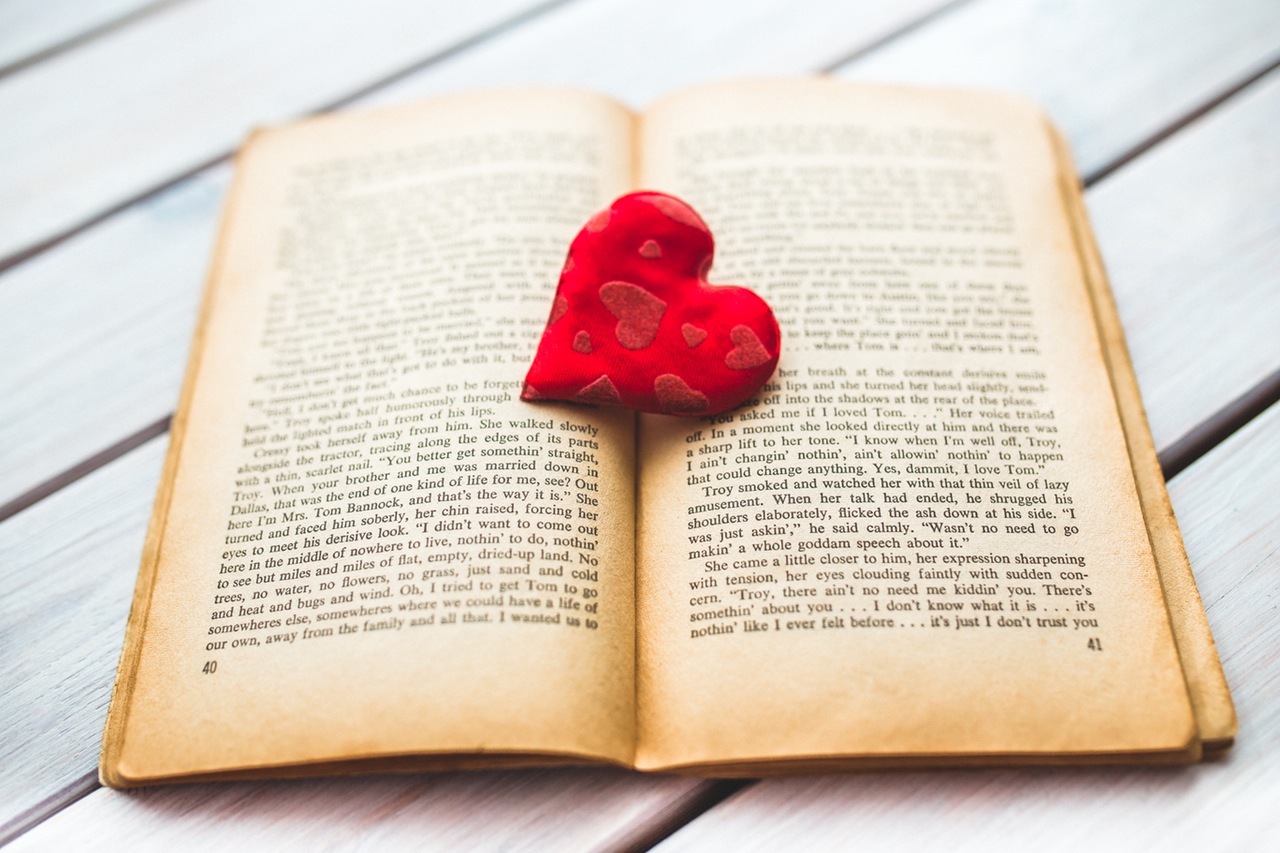 Best Romantic books by Indian Authors 2016 Best Romantic books by Indian Authors 2016
