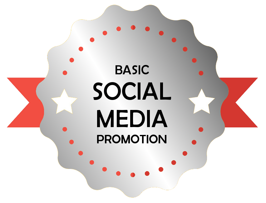Vowelor Social Media Promotion