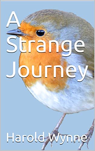 A Strange Journey